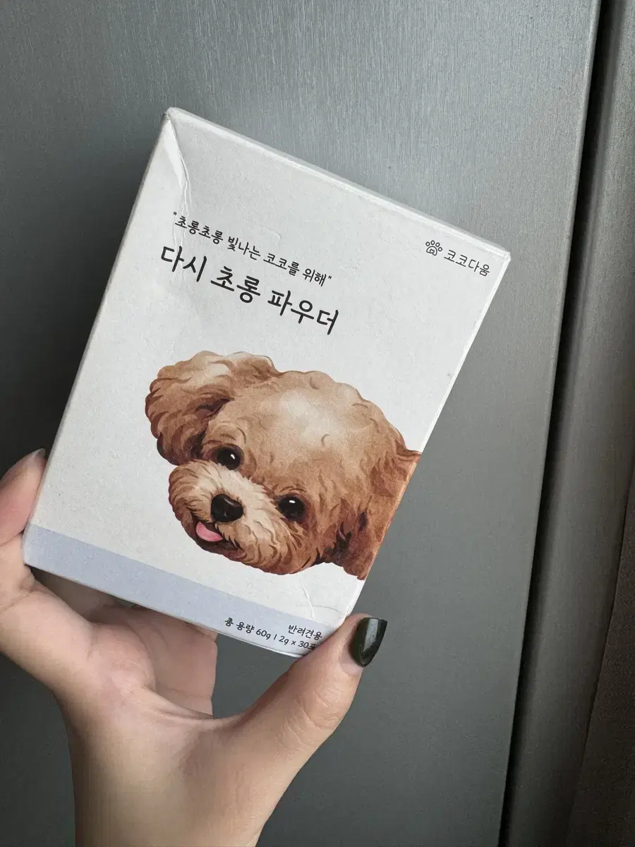 강아지 다시 초롱파우더